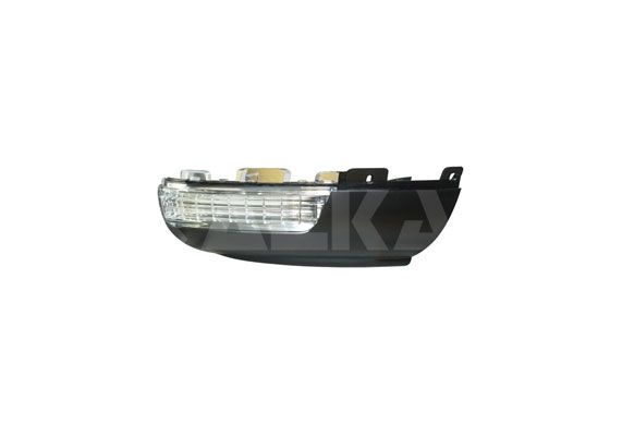 Feu Retroviseur Volkswagen Tiguan 2007 Droit
