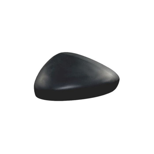 cache retroviseur citroen c3 2009 gauche
