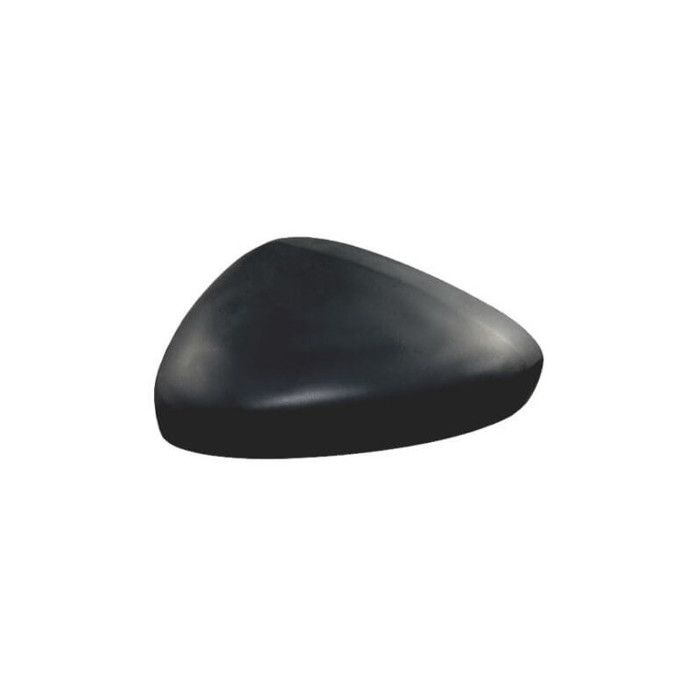 cache retroviseur citroen c3 2009 gauche