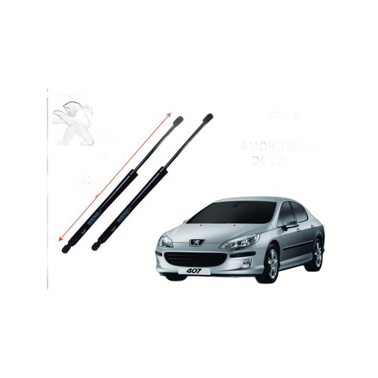 Amortisseur de coffre Peugeot 407 - 320 mm / 407 N ZAK-P407