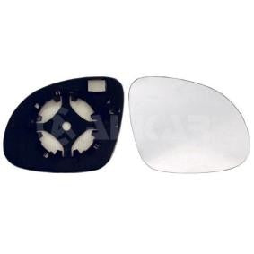glace retroviseur volkswagen tiguan 2007 droit